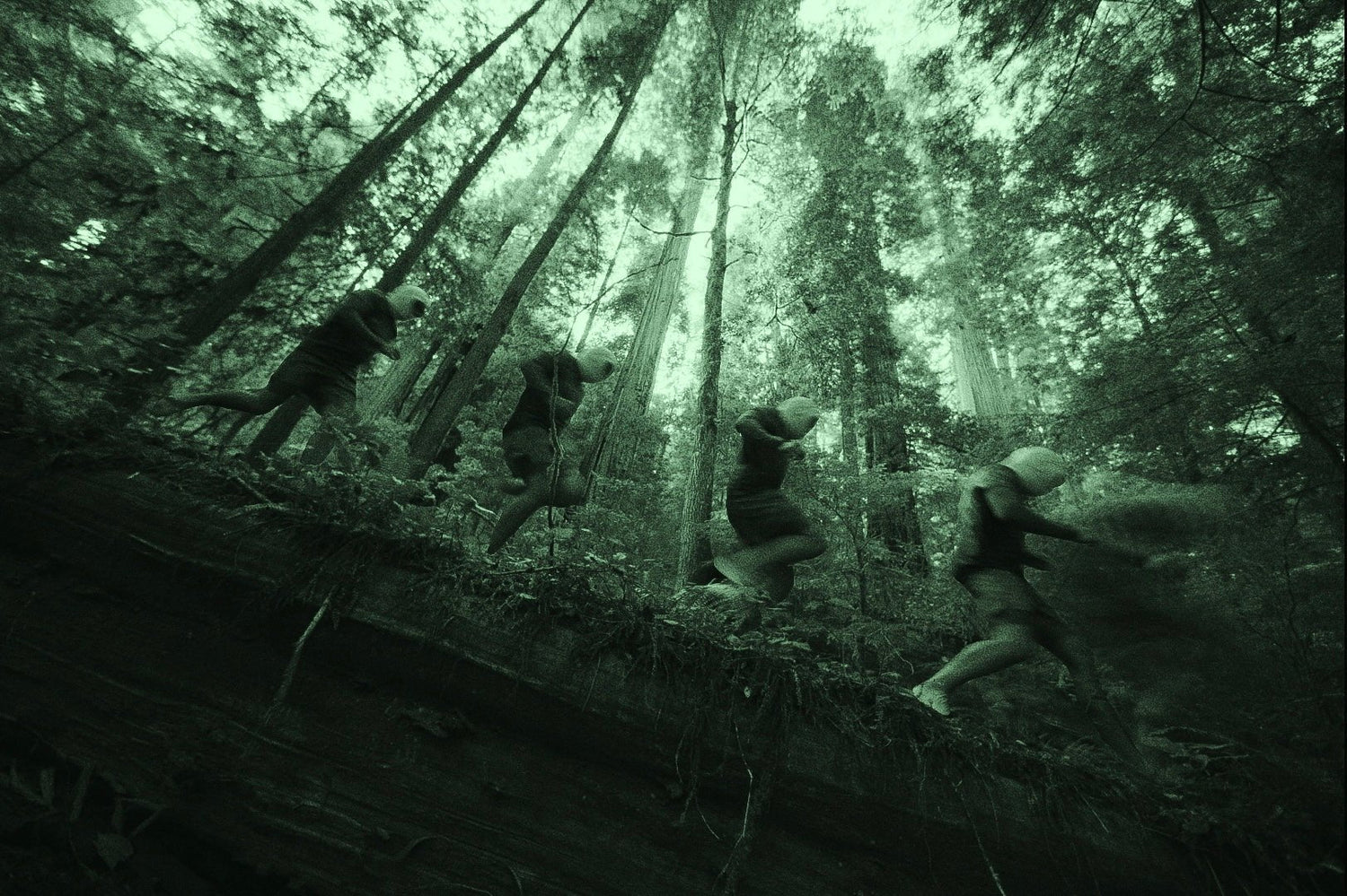 7-Day Vitality Reset Blueprint