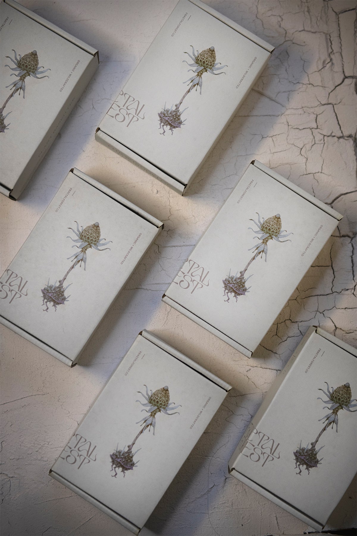 SUSTAINABLE PACKAGING