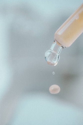 Reasons to Love Sea Moss: Nature’s Ultimate Superfood