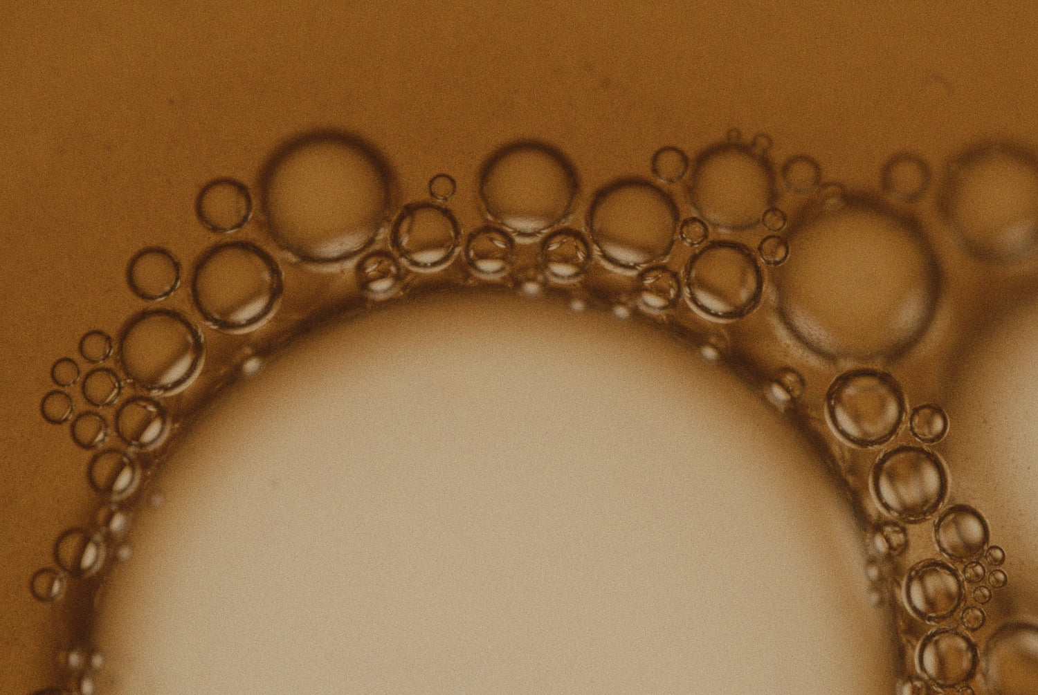 Shilajit: The Ancient Elixir of Life