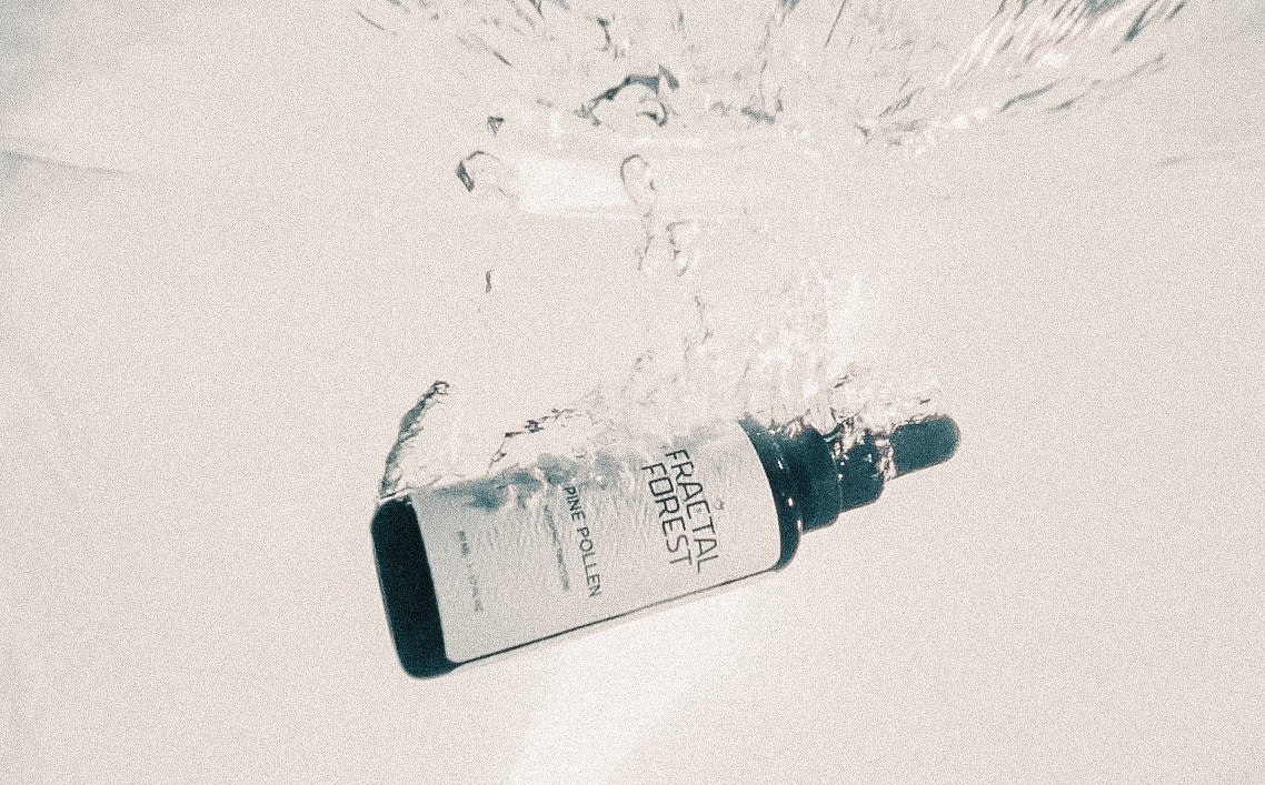 Pine Pollen: Bioactive Nutrition from the Forest